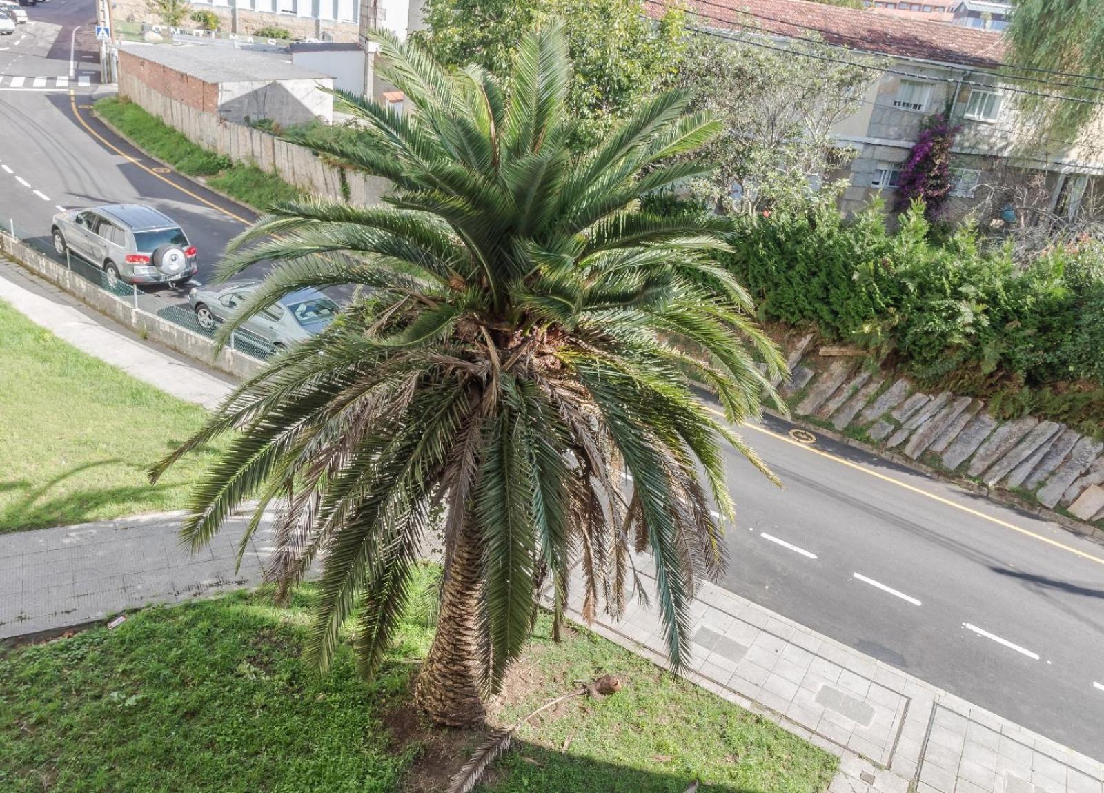 Apartamento Peces De Madera Sanxenxo Esterno foto